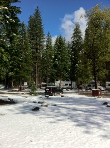 Yosemite Snow Storm